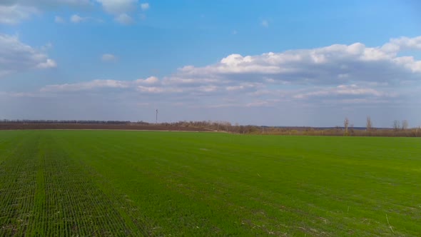 Aerial fly side above bright green spring field