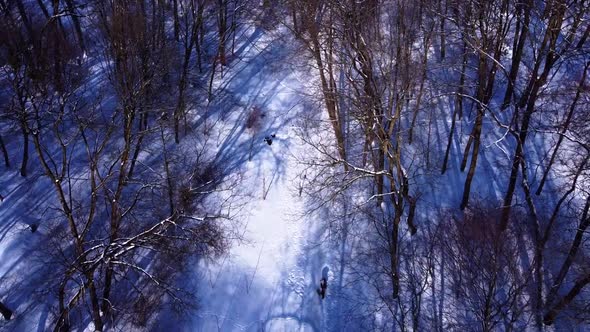 Aerial view of a drone flying over the winter park.