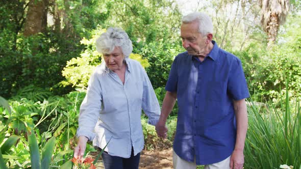 Senior caucasian couple in garden