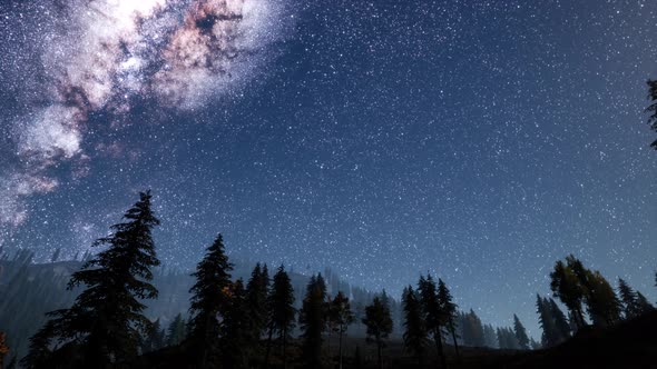 Milky Way Stars with Moonlight