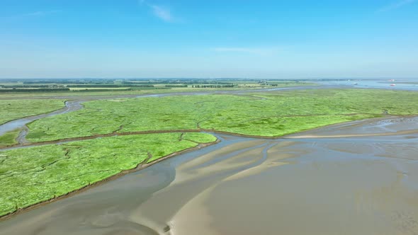 Aerial shot of mudflats and green wetlands with grass, bushes and small rivers leading into the sea