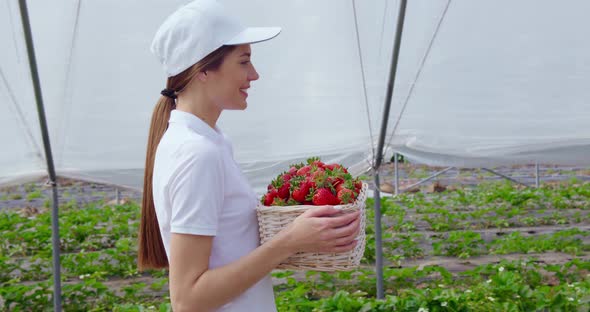 Woman Carrying Basket with Freshly Picked Strawberries