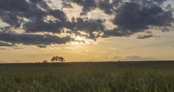 Flat Hill Meadow Timelapse at the Summer Sunset Time. Wild Nature and Rural Field. Sun Rays, Trees