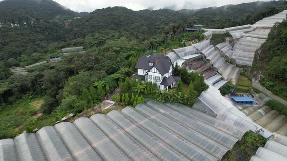 Cameron Highlands, Pahang Malaysia