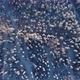 Aerial View of a Winter Forest From a Drone a Huge Forest in the Taiga or Siberia  Landscape Video - VideoHive Item for Sale