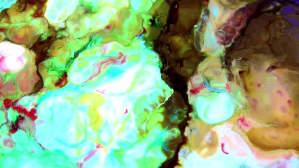 Liquid Colorful Paint Pattens Mix In Slow Motion 12 alt
