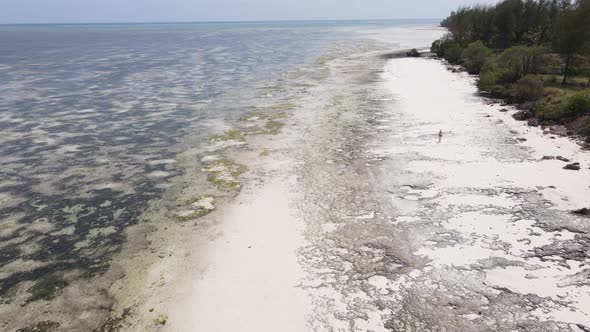 Ocean at Low Tide Near the Coast of Zanzibar Island Tanzania Slow Motion