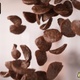 Handful of Falling Cocoa Shell-Shaped Cereals - VideoHive Item for Sale
