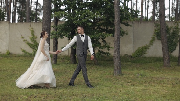 Lovely Newlyweds Caucasian Bride Groom Walking in Park Holding Hands Wedding Couple Family