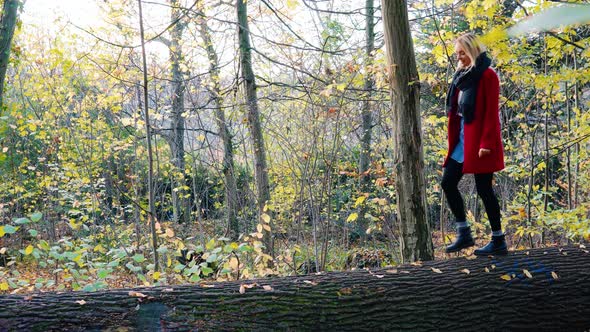 Young beautiful woman walking over falling tree. Happy Girl wearing red coat balancing over torn out