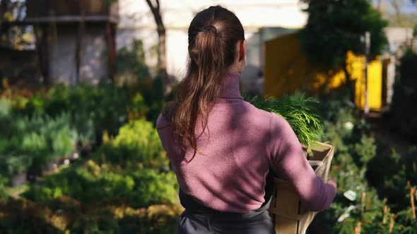 Back View of Female Florist Walking Among Rows of Different Plants in Flower Shop or Market and