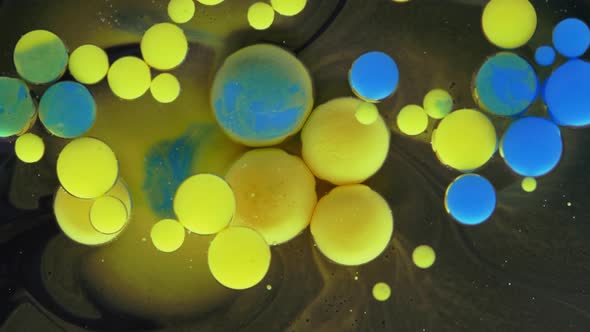 Colorful Bubbles