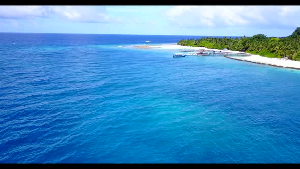 Aerial drone tourism of tranquil sea view beach wildlife by aqua blue lagoon with clean sand backgro