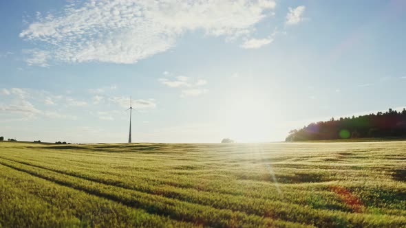 The Light of the Rising Sun Illuminates the Meadow on Which is Wind Generator