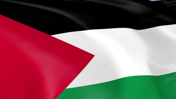 Palestine Flag