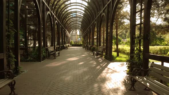 Tunnel Archway in a Park