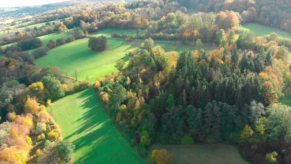 Aerial Drone View Of Autumn Foliage Forest