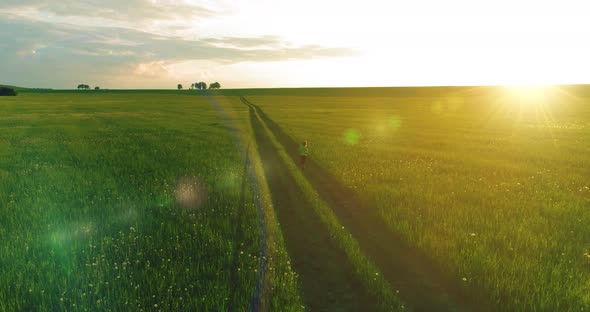 Sporty Child Runs Through a Green Wheat Field. Evening Sport Training Exercises at Rural Meadow. A