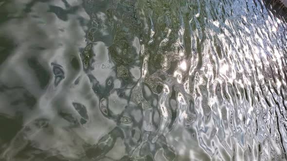 Sparkling Blinking Sun Flares at Wavy Water Surface of Lake