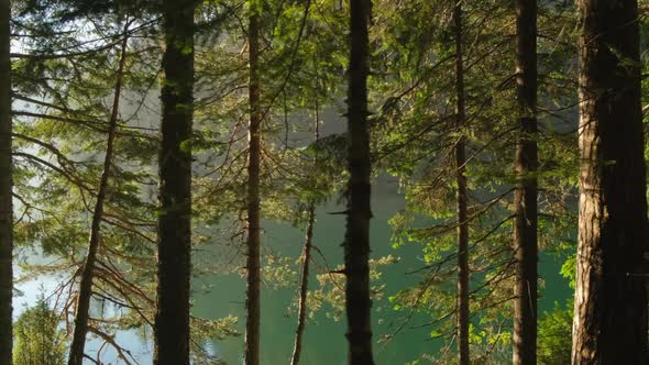 Beautiful Lake in the Forest in Summer