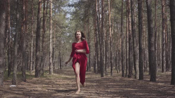 Skilled Graceful Woman in Red Dress Dancing in the Forest Landscape. Beautiful Contemporary Dancer