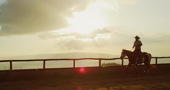 Cowboy Horseback Riding