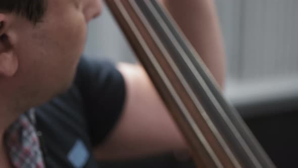 Concentrated Musician Playing Contrabass