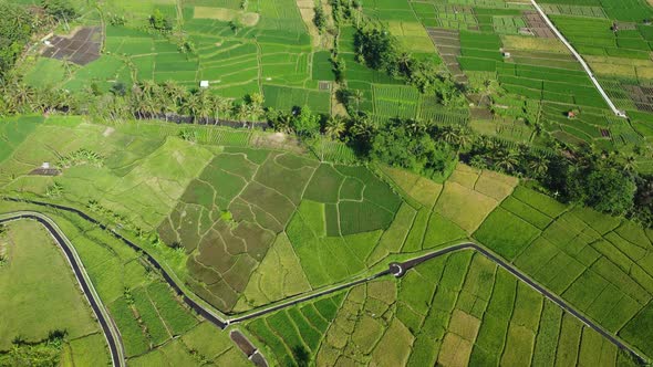 Aerial drone footage of green farmland