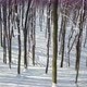 Flying backward in winter forest - VideoHive Item for Sale