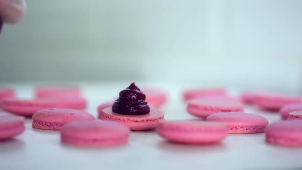 Process of Making Macaron Macaroon French Dessert Squeezing the Dough Form Cooking Bag