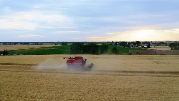 Wheat Fields