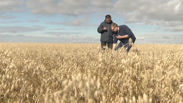 Businessman and Agronomist are Working in the Field