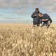 Businessman and Agronomist are Working in the Field - VideoHive Item for Sale