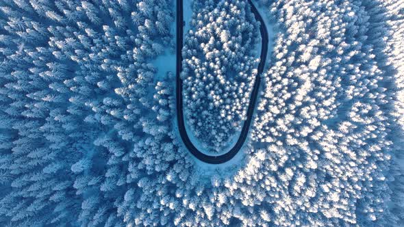 Top down View Of Mountain Road And Coniferous Forest Covered In Snow During Winter