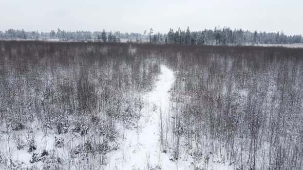 Winter Snow Covered Field with Forest and Path Flying