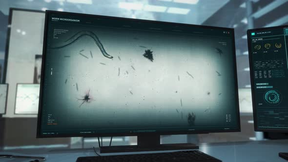 Parasitic Worm Disease Study Of A Microorganism Via Advanced Medical Interface alt
