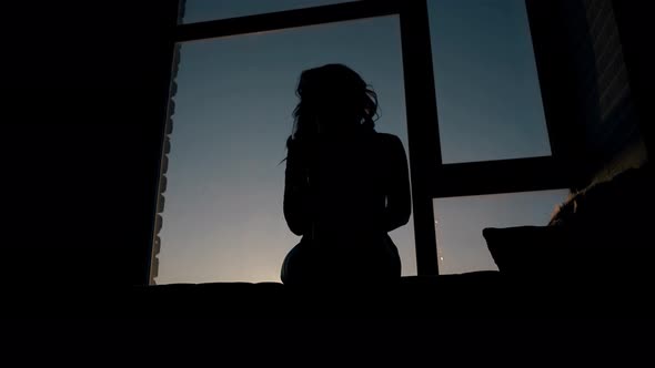 Woman Silhouette with Wine Glass at Window Against Sunset