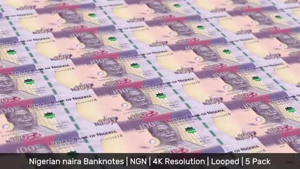 Nigeria Banknotes Money / Nigerian naira / Currency ₦ / NGN / 5 Pack - 4K