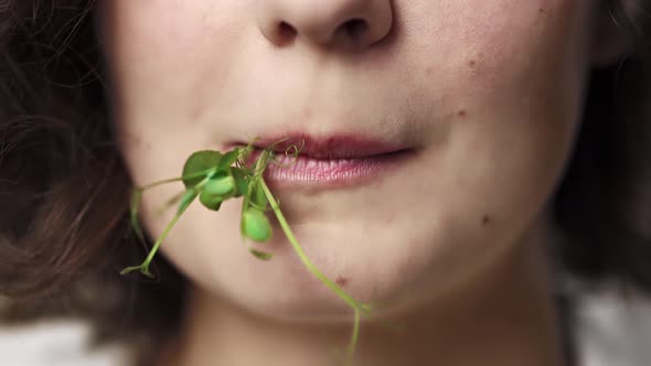 The Mouth Of A Human Chews Fresh Organic Greens. A Man Chews Fresh Green Peas. Chew Green