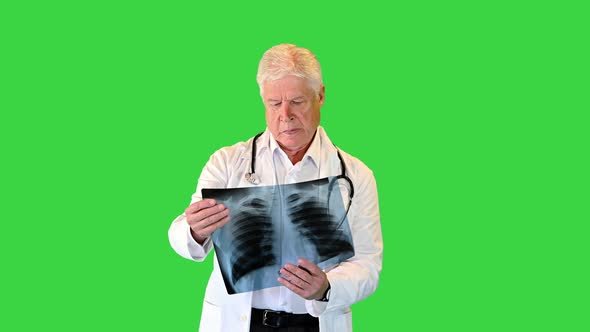 Doctor Looking at Xray and Walking on a Green Screen Chroma Key