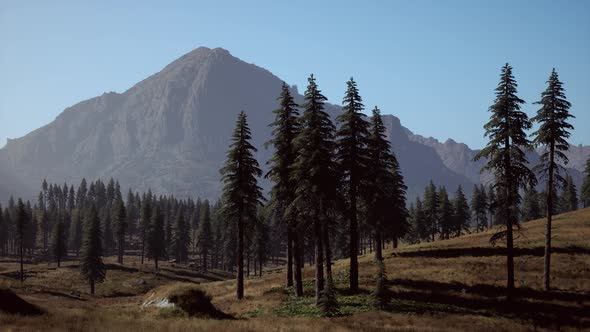 Aerial View Over Mountain Range with Pine Forest in Bavaria