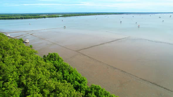 An aerial view from a drone flying over the coastal mangrove forests