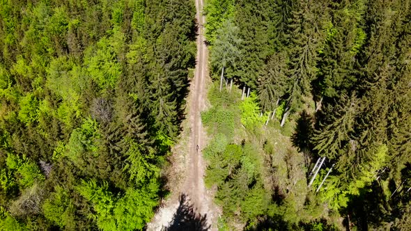 Beautiful view from the Signalkogel on an forest drone video