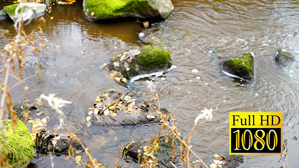 Fast Autumn River Slow Motion