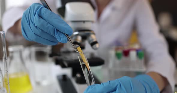 Researcher Scientist Holds Test Indicator and Lowers Test Tube