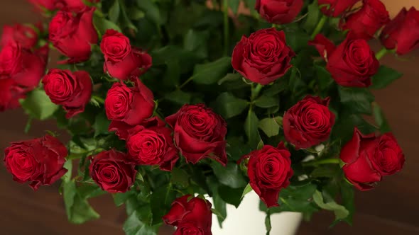 Red Roses