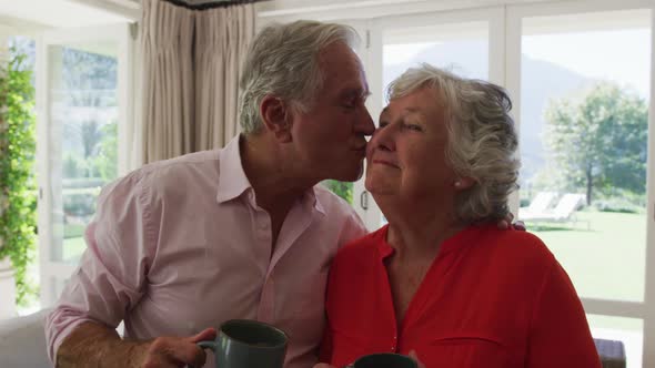 Portrait of happy caucasian senior couple kissing in sunny living room, smiling and holding cups