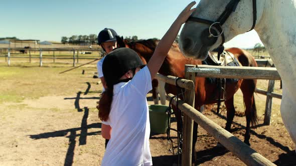 Girls caressing the horse in the ranch 4k