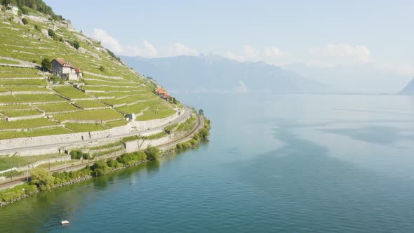 Aerial shot of steepest part of Lavaux vineyard terraces going all the way to Lake Leman - Switzerla