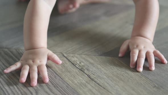 Tiny Little Hands Fingers of Caucasian Baby Infant Crawling on the Wooden Floor